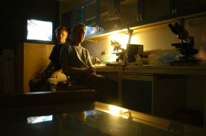 2004-08-08-labbarbete2