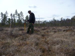 2010-04-28-älgspillningsinventering