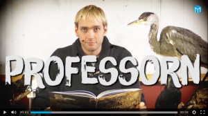 My role as the "Professor" in Mittmedia's nature documentary series Vildriket, where I talk about interesting phenomena in nature.