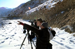 s8340 Jonatan ser snow leopard JF