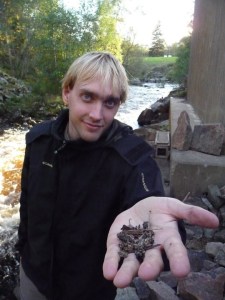 utterinventering2010