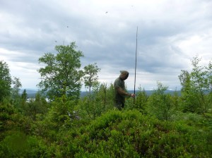 s2012-07-06-Jonatan-inventering