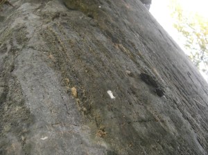 s2013-09-17-utterspillning