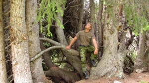 I have never - ever - seen such a big spruce tree! This picture was taken on 14 July on a trail outside of Lom in Norway. This country has amazing old growth forests leaving Sweden far behind in terms of forest conservation.