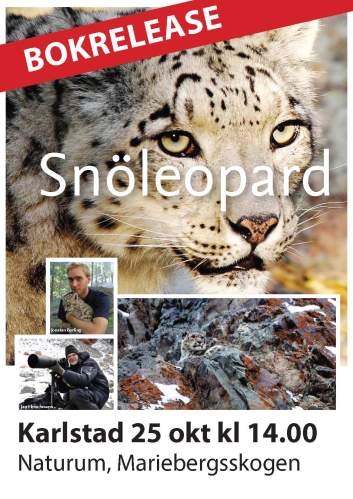 Affisch - Release Karlstad