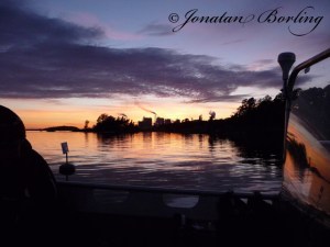 2010-09-06-fladdermusinventering-skoghallsbruket1