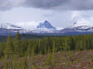 The view over Lunndörrsfjällen from western Jämtland.