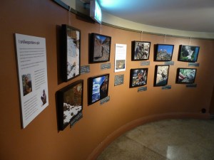 The exhibition can be seen in Biotopia since May.